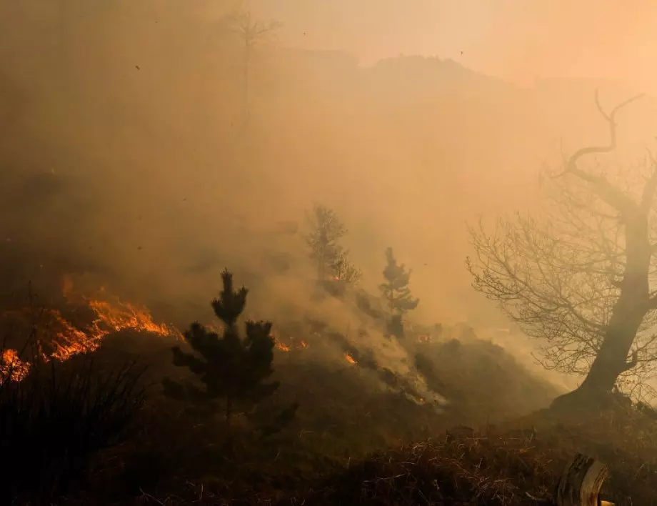 Овладян е горският пожар в Лимасол, Кипър