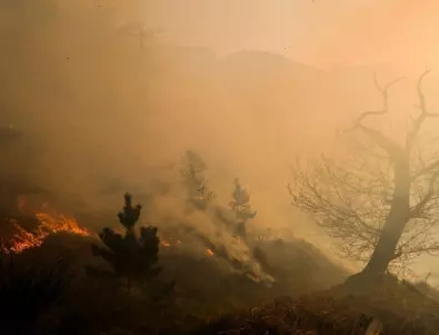 Голям пожар се разгоря край петричко село (ВИДЕО)