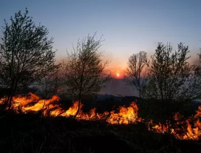 Трудна борба с горски пожар в Испания: Евакуираха над 180 души (ВИДЕО)