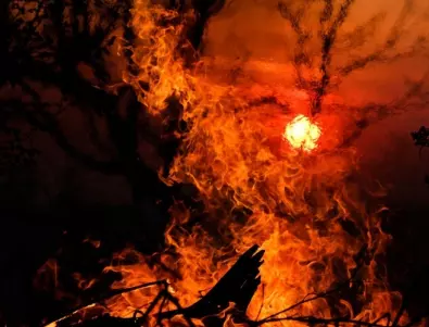 Големият пожар край Александруполис взе жертва