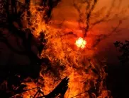 Загасен е големият пожар в Свиленградско