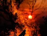 Мощни горски пожари бушуват в Колумбия (ВИДЕО)