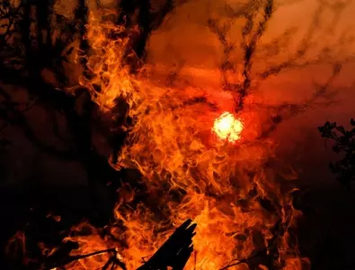 Мощни горски пожари бушуват в Колумбия (ВИДЕО)