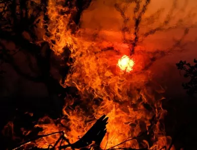 Голям пожар бушува в Северна Македония 