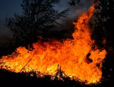 170 пожара са ликвидирани у нас за денонощие, има и пострадали