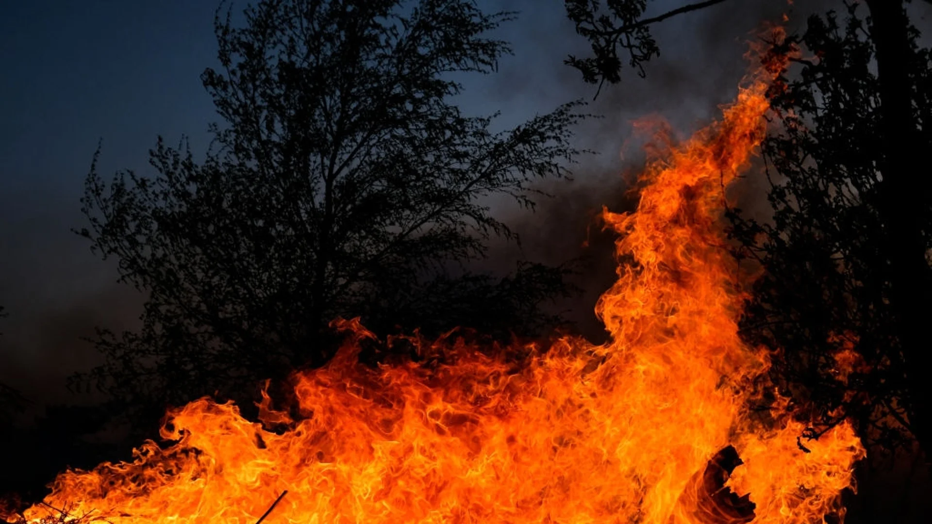 Заради горски пожари: В Чили обявиха извънредно положение (ВИДЕО)