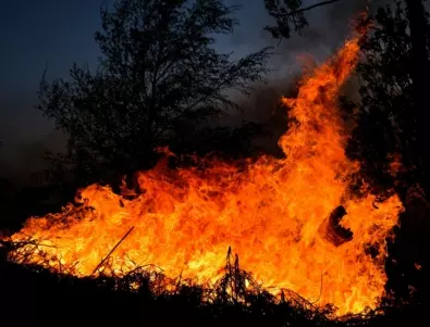 Заради горски пожари: В Чили обявиха извънредно положение (ВИДЕО)