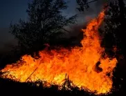 Тежки горски пожари бушуват в Тексас (ВИДЕО)