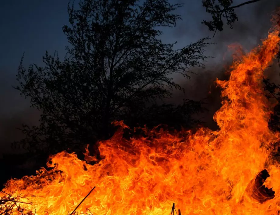 Започнаха горските пожари в Гърция