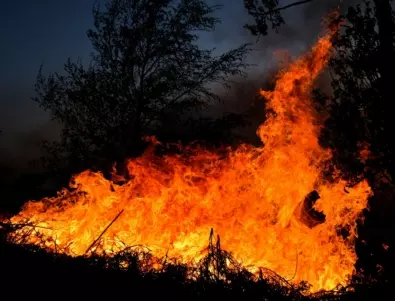 Забраняват паленето на огън в Гърция