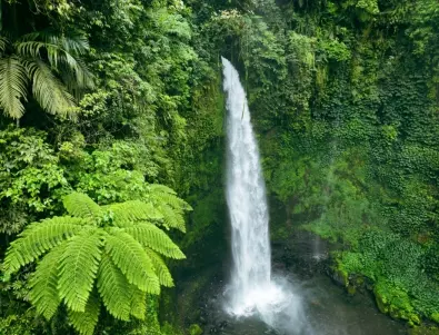 23-годишен инфлуенсър падна край водопад и загина, докато снима клип (ВИДЕО)