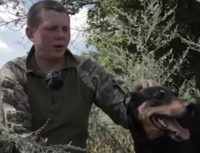 Невероятна история: Куче спаси украински войници от гладна смърт край Бахмут (ВИДЕО)