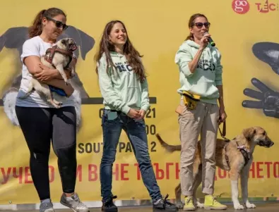 „Бандата на 1500-те“ и BILLA стартират дарителска кампания в помощ на кучетата от приюти