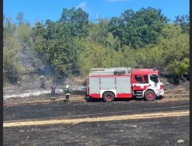 Пожари край село Горица, Варненско, и при Петрич (СНИМКИ)