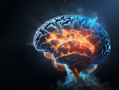 Мозъкът започва да работи с пълна сила след 60 години