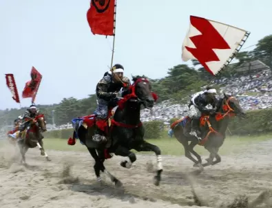 Пътят на самурая-Козирог: как може да се адаптира към жестокия свят? 
