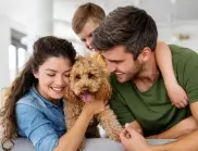 7 човешки храни, които могат да бъдат фатални за кучетата
