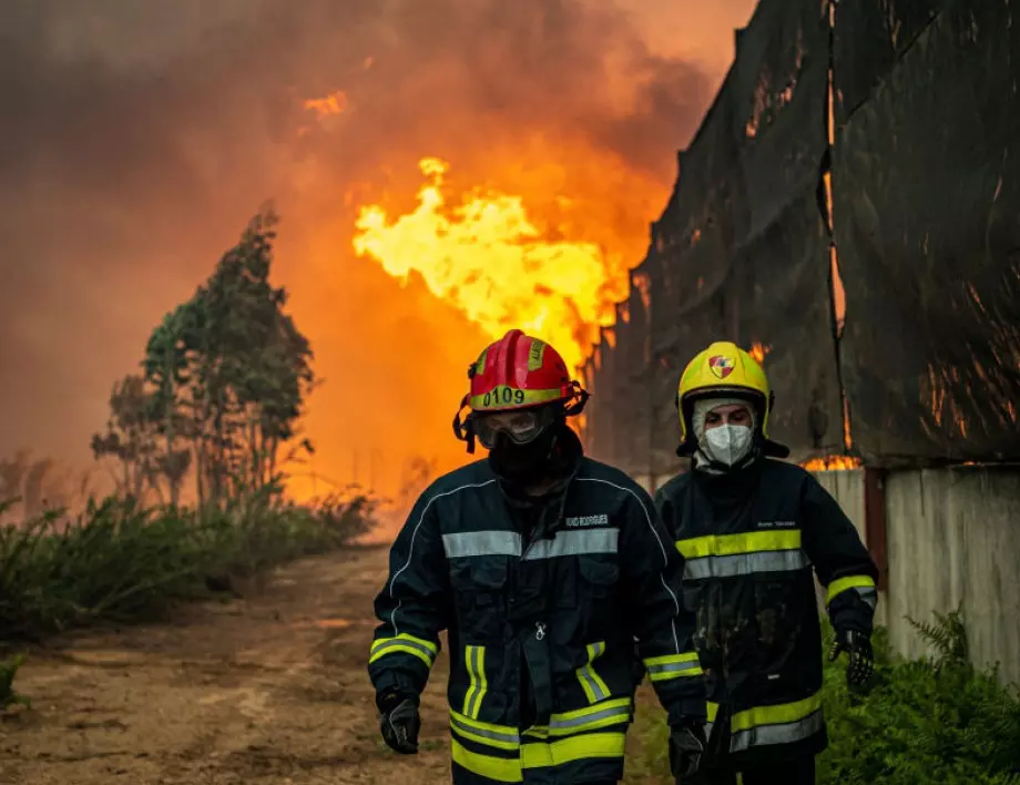 Няма случайности - над 90% от пожарите са по човешка небрежност 