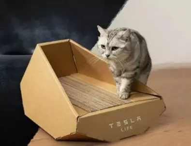 Tesla започна да продава къщи за котки в стила на Cybertruck