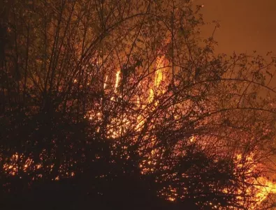 Нов пожар в Бургаско е локализиран