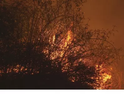 Голям горски пожар бушува в руския Краснодарски край (ВИДЕО)