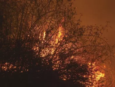 Стотици декари горят край хасковското село Клокотница 