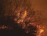 Горски пожар: Землището на Сатовча в пламъци