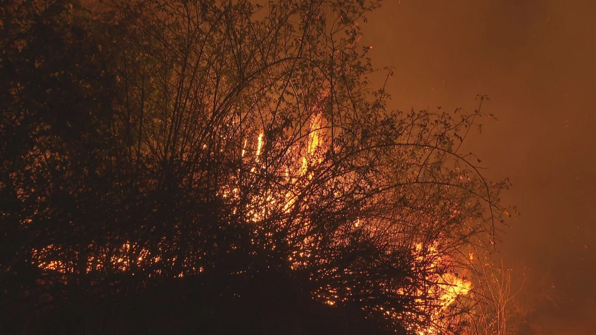 Горски пожар: Землището на Сатовча в пламъци