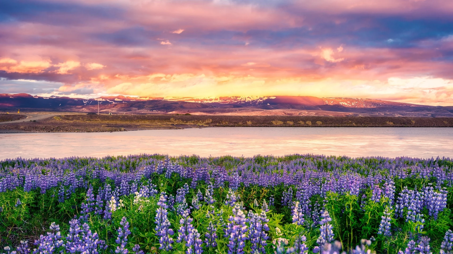 Магията на Исландия: 5 причини защо да пътуваме до там през 2024 (ВИДЕО)