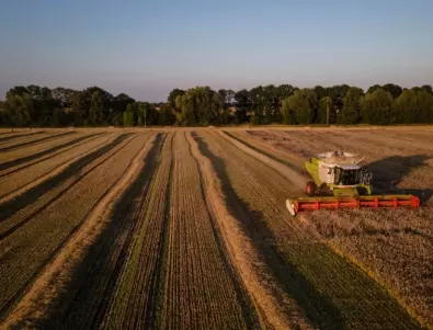 България иска квоти за внос на украинско зърно в ЕС, но няма анализ на последствията