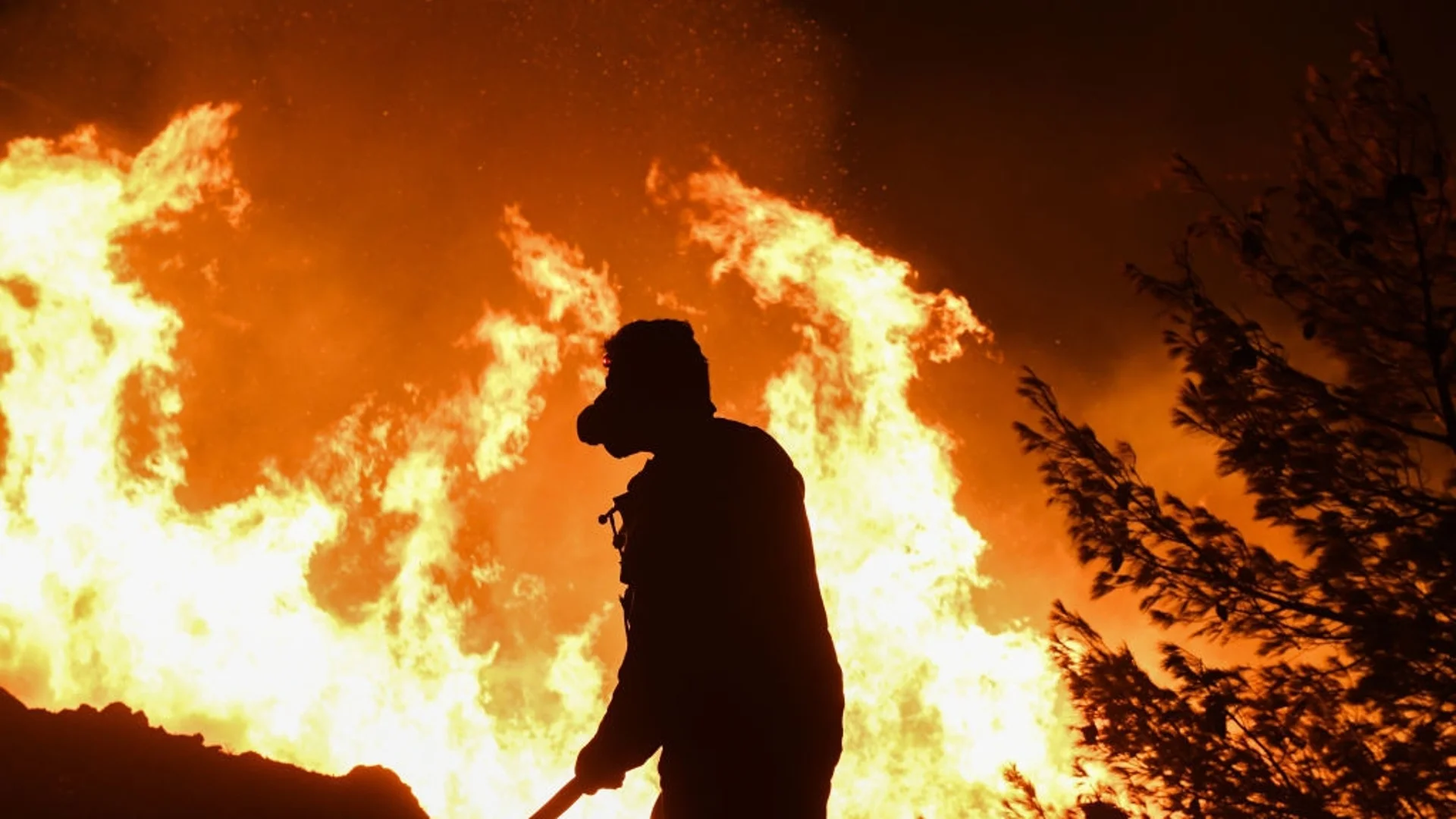 Броят на жертвите на горския пожар в Чили достигна 122 