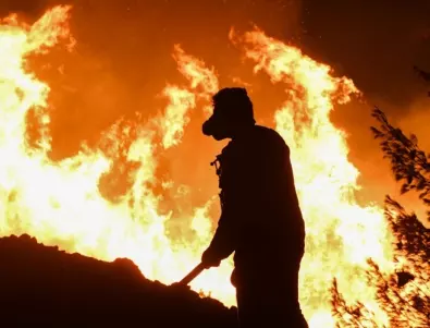 Броят на жертвите на горския пожар в Чили достигна 122 