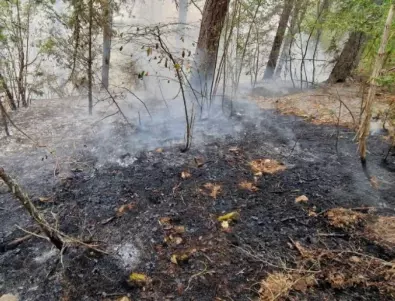 Нестихващ пожар в Родопите: Кметът на Чепеларе обяви частично бедствено положение