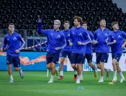 Герой от новата история на Левски настоява да напусне "Герена"