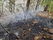 Пожарът над Хвойна е овладян