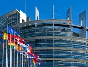 Строги наказания за екопрестъпления обяви Европейският парламент
