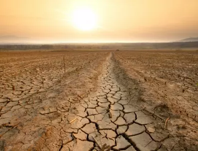 ООН: Планетата е на ръба на пропастта след рекордно горещо десетилетие