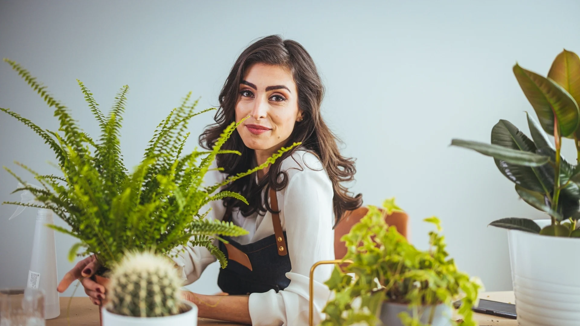 Супер тор за всички цветя у дома само с 3 съставки