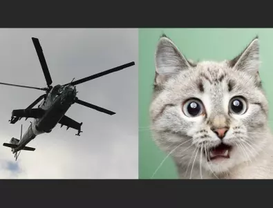 Два хеликоптера в Русия превозват генералска котка: Чудесата във втората армия в света (ВИДЕО)