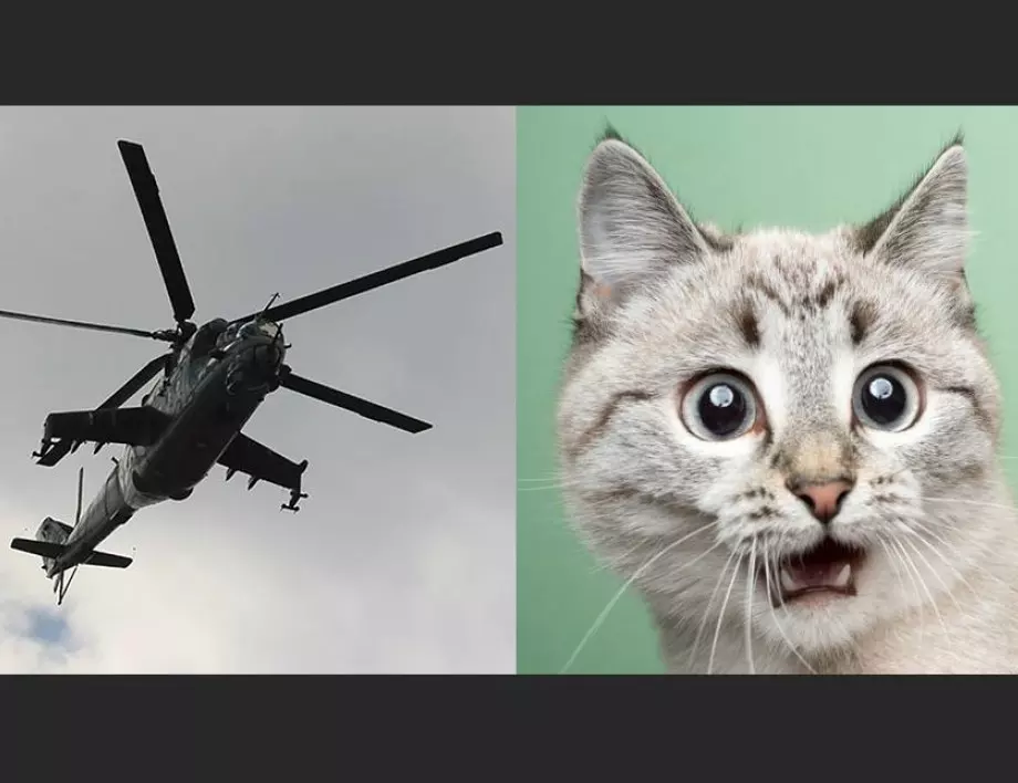 Два хеликоптера в Русия превозват генералска котка: Чудесата във втората армия в света (ВИДЕО)