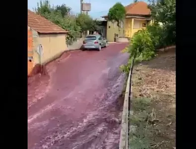 Червено вино заля улиците на град в Португалия (ВИДЕО)