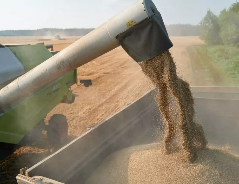 Полша удължава забраната за внос на украинско зърно, Унгария разширява списъка със стоки