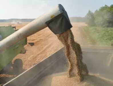 Румъния подготвя временно удължаване на забраната за украинско зърно 