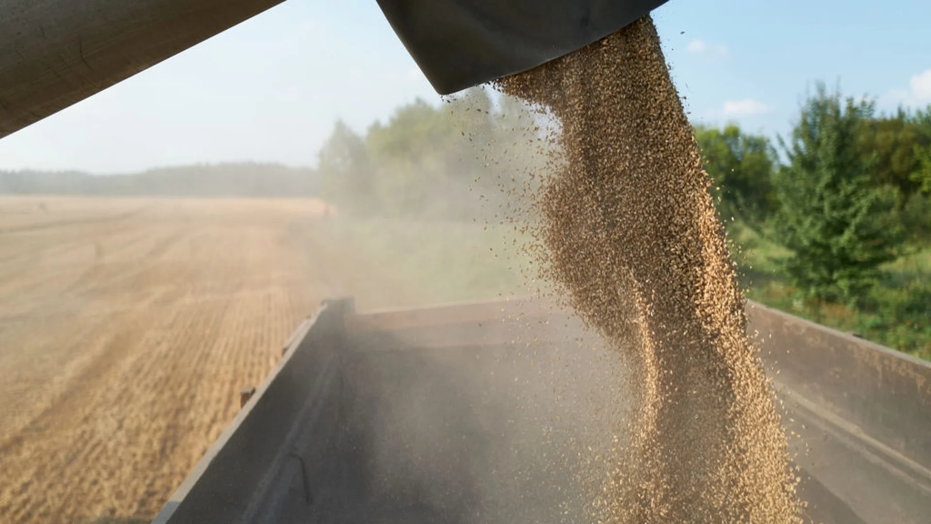 Първа забрана за внос на руско зърно и зърно от Беларус в ЕС: Прави го Латвия