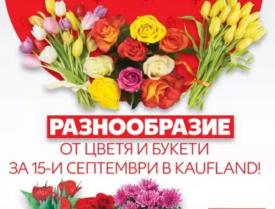 Разнообразие от цветя и букети на изгодни цени за 15-и септември в Kaufland