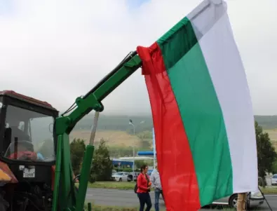 Зърнопроизводството е в колапс, алармират от Българска аграрна камара