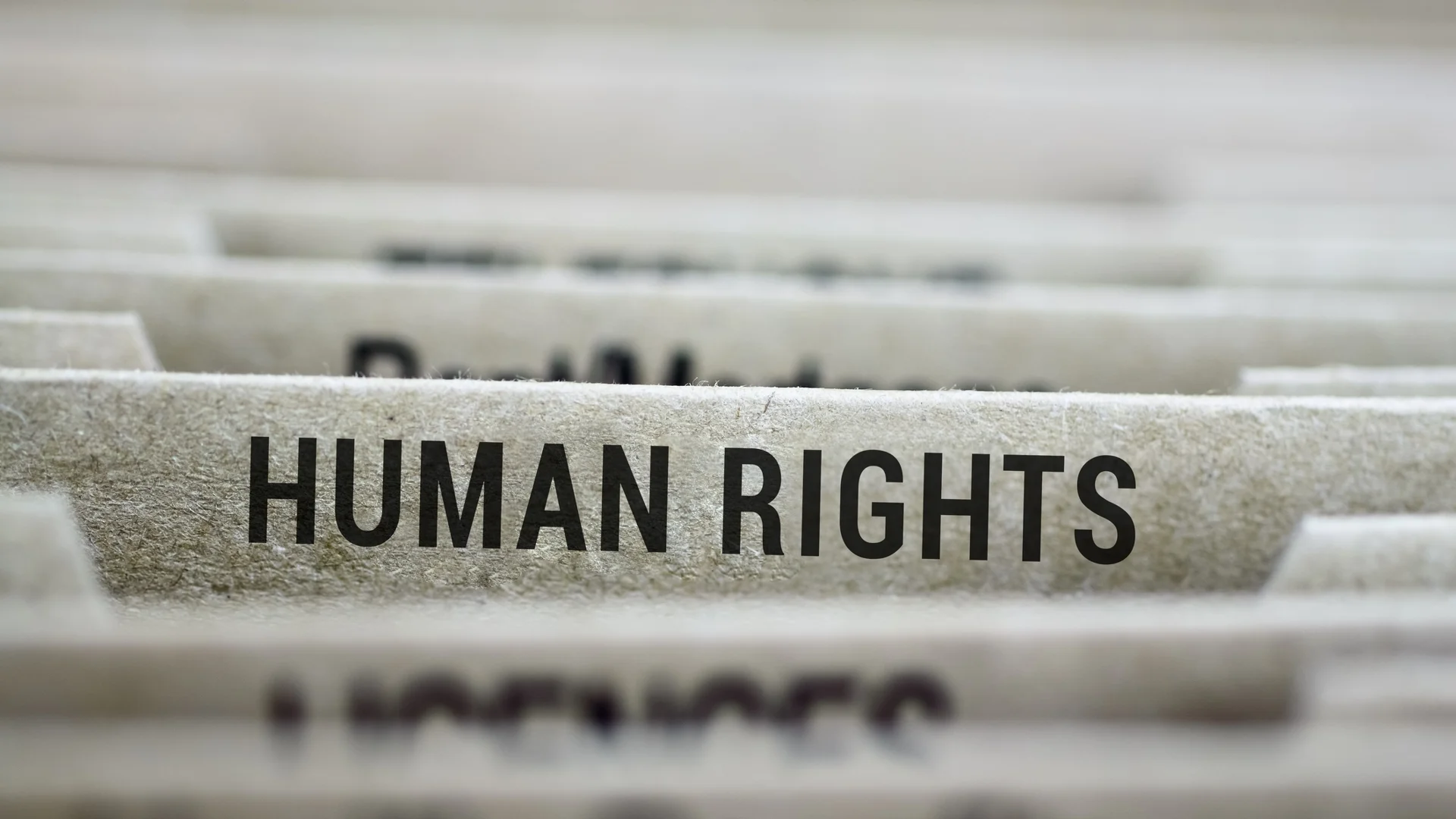 Декларацията за човешките права не е западен продукт. Ето как е възникнала 