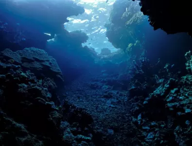 Земната кора погълнала водата на цяло море и я заключила под дъното на Тихия океан