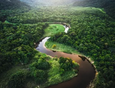 Сушата в Амазония разкри 2000-годишни мрачни лица, издълбани в скалата (СНИМКИ)
