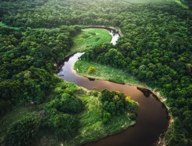 Нил или Амазонка - коя е най-дългата река в света